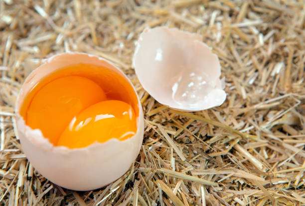 Double Egg Yolk Meaning in Chinese Culture