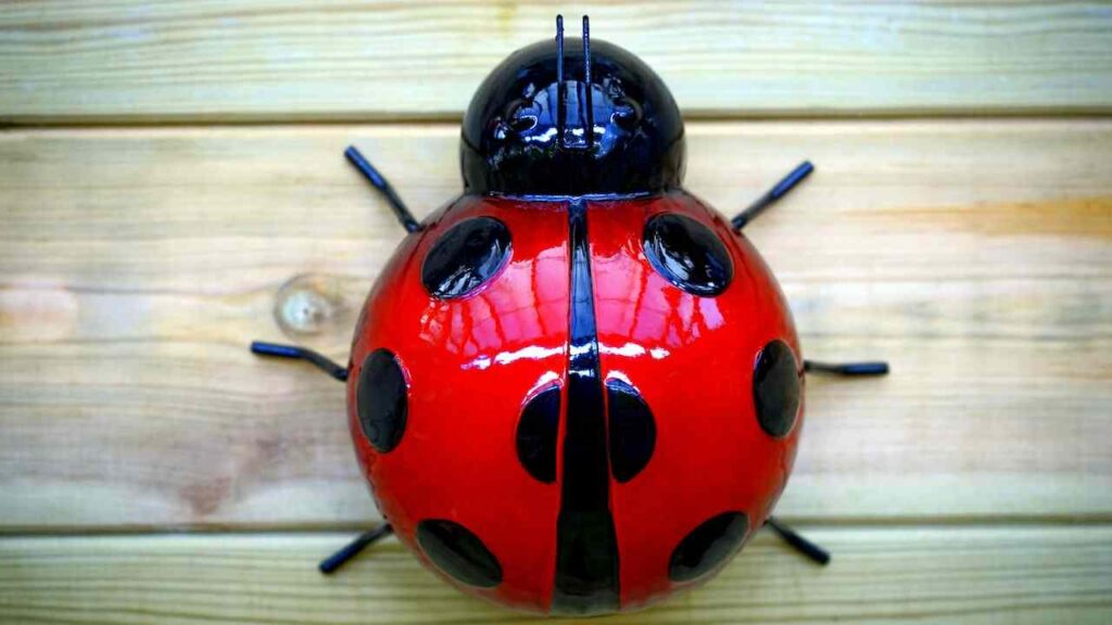 The Symbolism of Ladybugs in Different Cultures