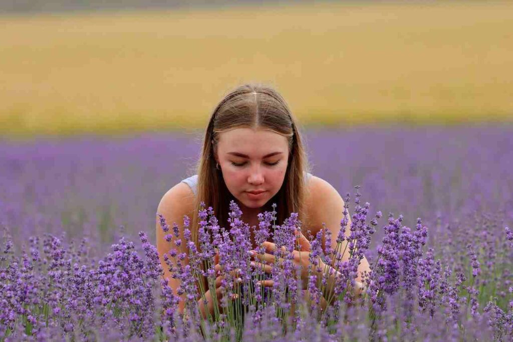 What is the Spiritual Meaning of Smelling Lavender