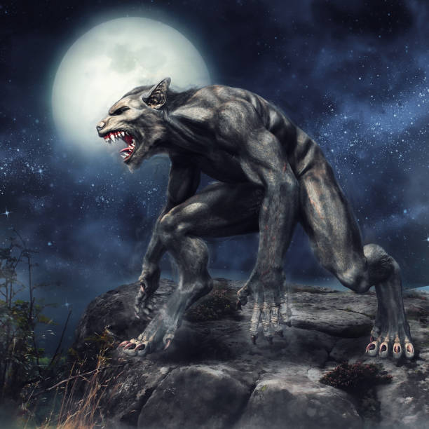 Werewolf Symbolism According To Tarot Cards