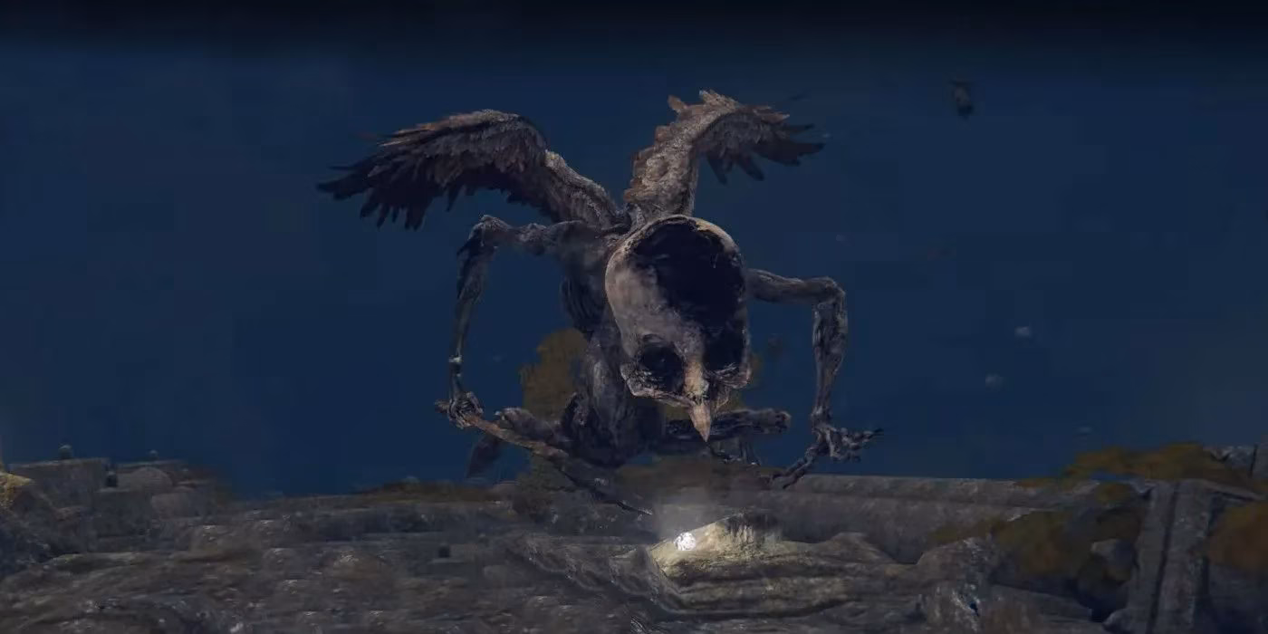 what-deathbirds-and-death-rite-birds-really-mean-in-elden-ring-lore-image-1