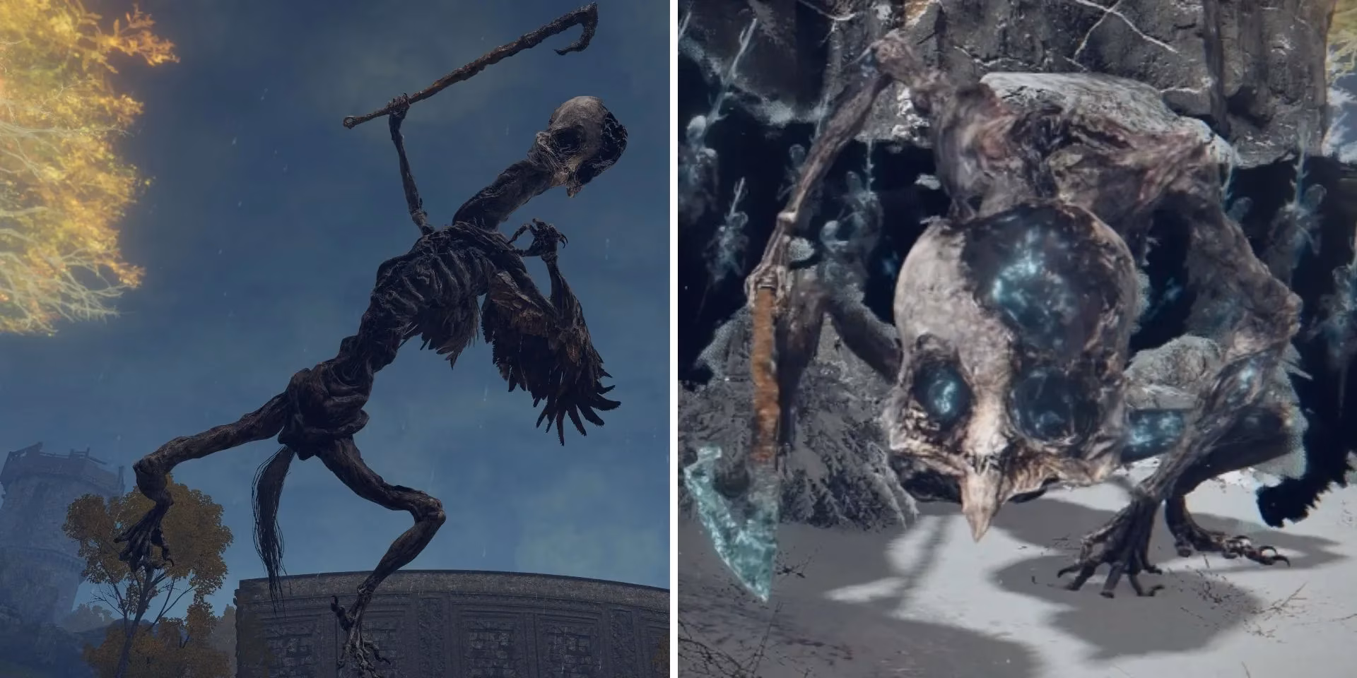 what-deathbirds-and-death-rite-birds-really-mean-in-elden-ring-lore-image-0
