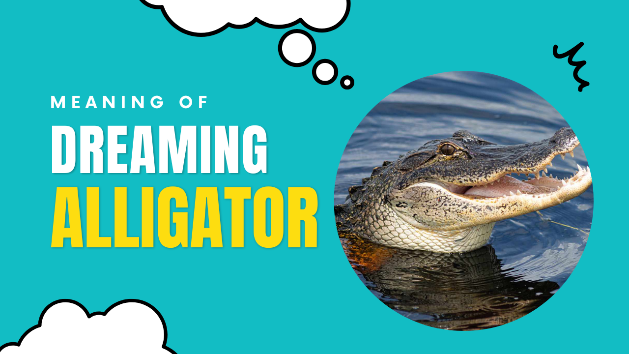 Dream About Alligators