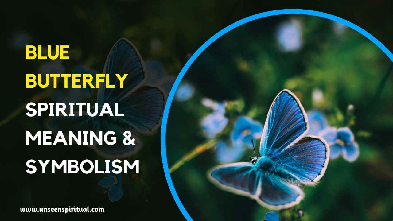 Blue Butterfly Spiritual Meaning