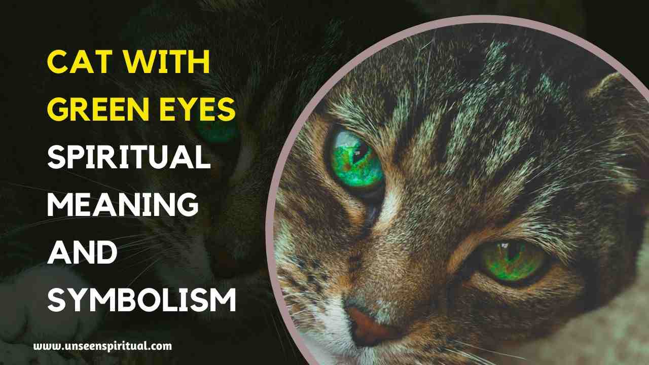 Cat With Green Eyes Spiritual Meaning and Symbolism