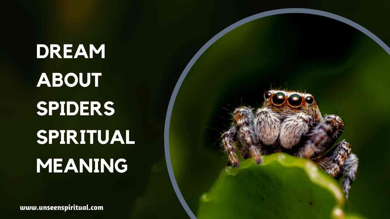Dream About Spiders Meaning