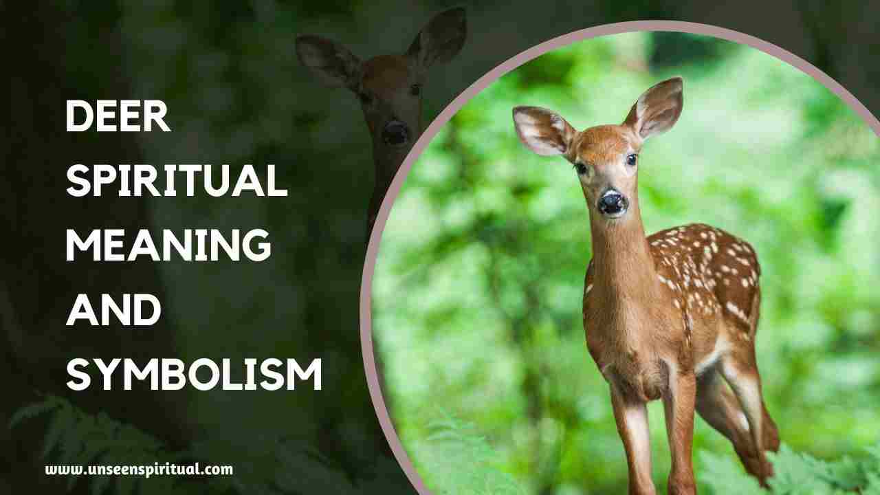Spiritual Meaning of Deer