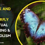 Black and Blue Butterfly Spiritual Meaning