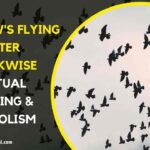 Crow Flying Counterclockwise Spiritual Meaning