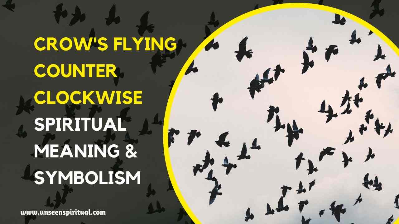 Crow Flying Counterclockwise Spiritual Meaning