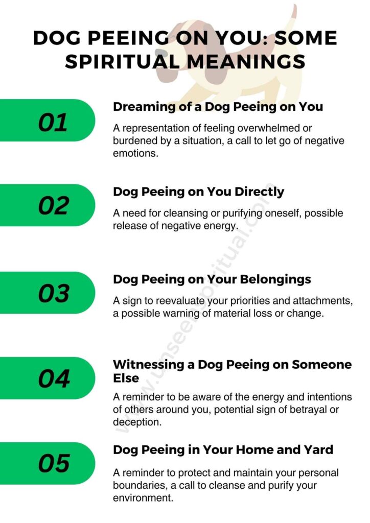 Dog Peeing on You Meanings