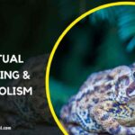 Spiritual Meaning of a Toad