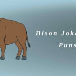 Bison Jokes and Puns