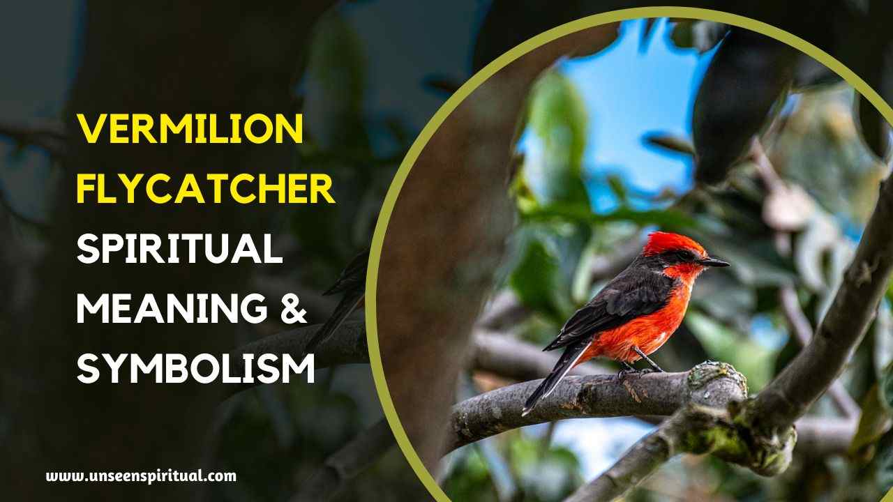 Vermilion Flycatcher Spiritual Meaning