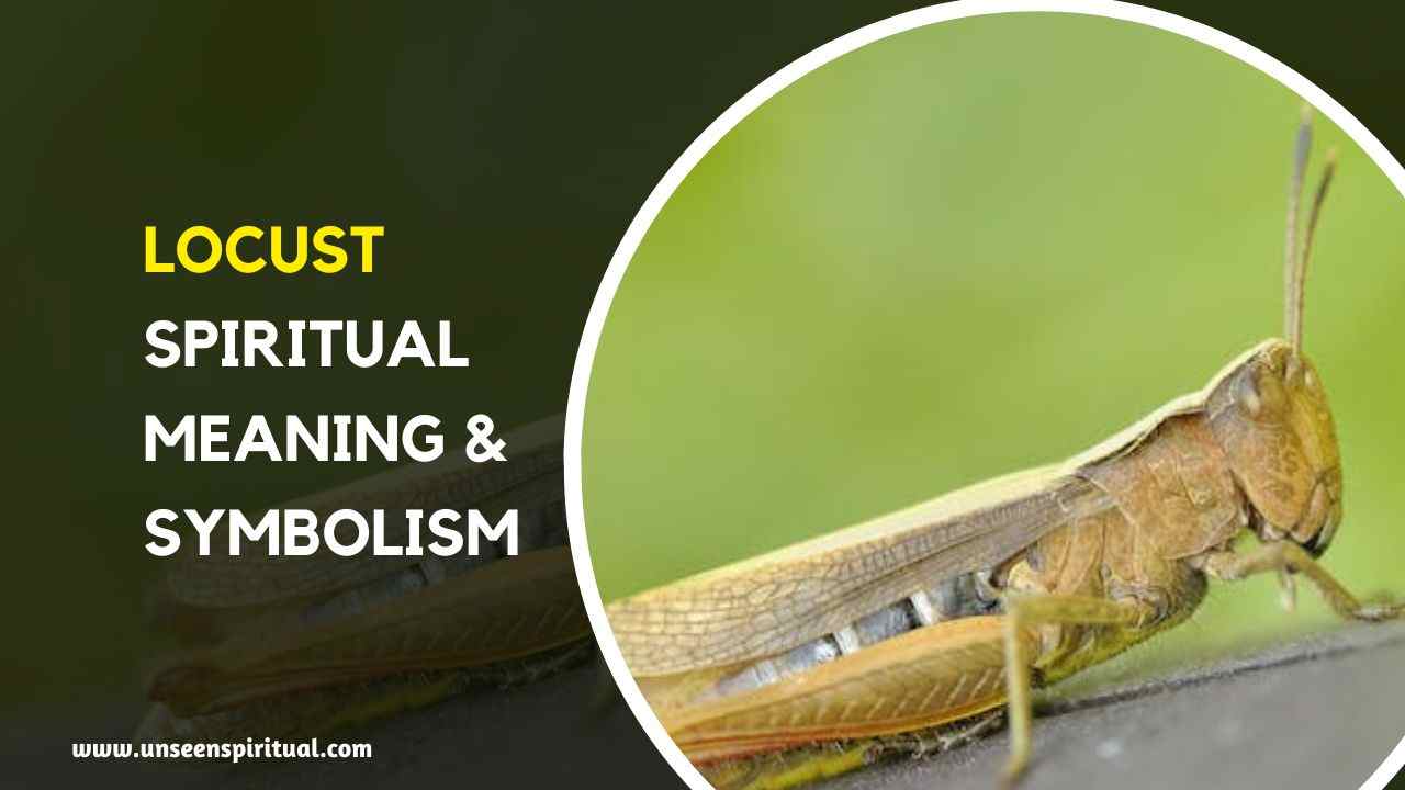 Locusts Spiritual Meaning and Symbolism