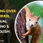Spiritual Meaning of Running Over a Squirrel