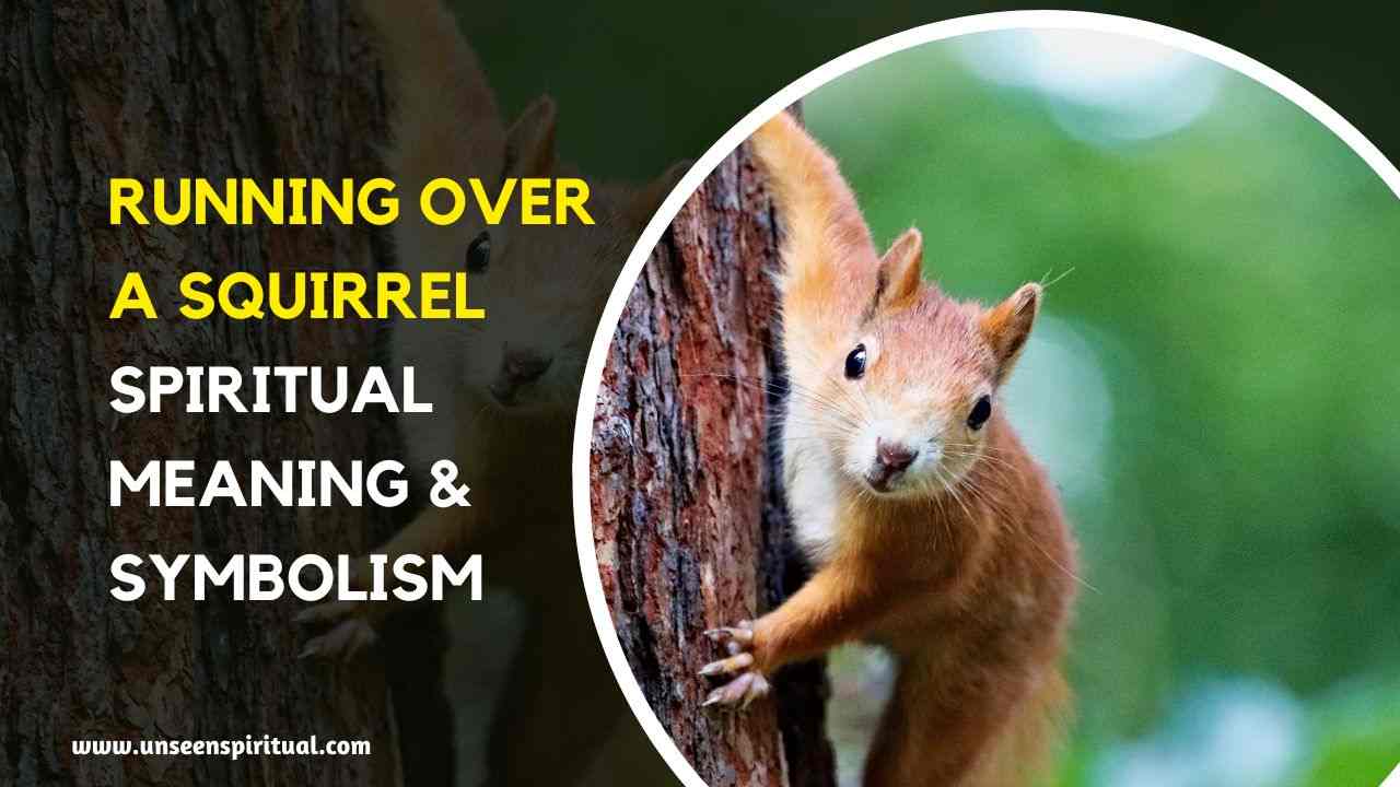 Spiritual Meaning of Running Over a Squirrel