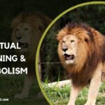 Lion or Lioness Spiritual Meaning