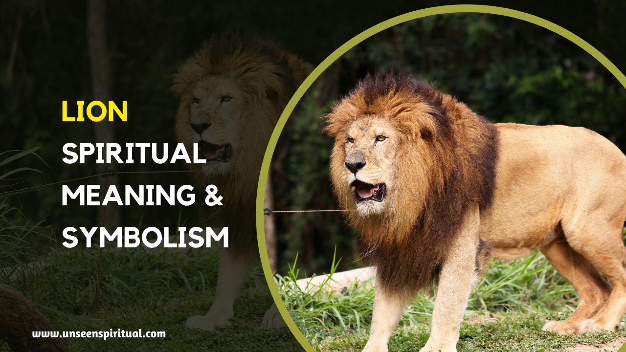 Lion or Lioness Spiritual Meaning
