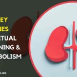 Spiritual Meaning of Kidney Stones: Emotions & Healing